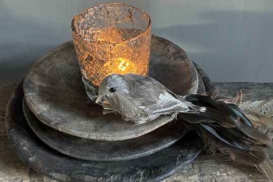 Set van 3 Kunst vogels Bird Paradise